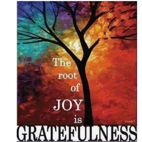 π OshKosh B'Gosh vintage Choo Choo Train Short Sleeve t-shirt 3/6 months NWT - Picture 9 of 15